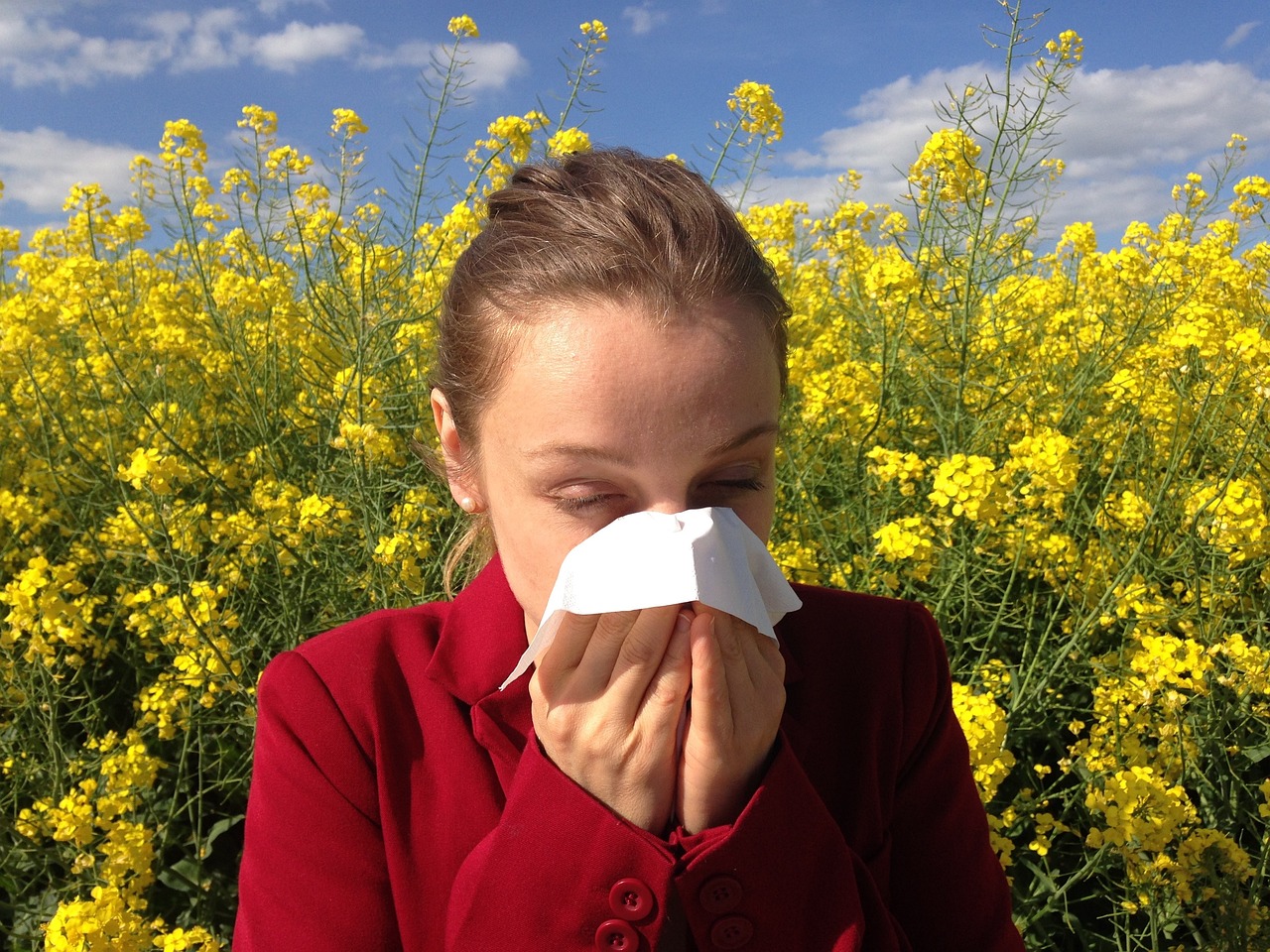 Rozwiązania dla Ciebie – Dom dla alergika